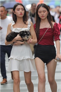 热裤高跟美腿3A1657[906M]